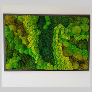 Moss wall art. Moss wall. greenwall. Moss frame. Preserved moss. Moss Art. Moss Wall Art, Nature Room Decor, moss picture