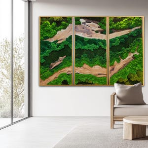 Moss wall art. Moss wall. greenwall. Moss frame. Preserved moss. Moss Art. Moss Wall Art, Nature Room Decor, moss picture