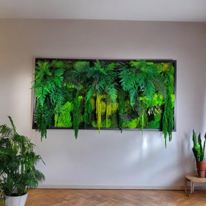 Moss wall art. Moss wall. greenwall. Moss frame. Preserved moss. Moss Art. Moss Wall Art, Nature Room Decor, moss picture