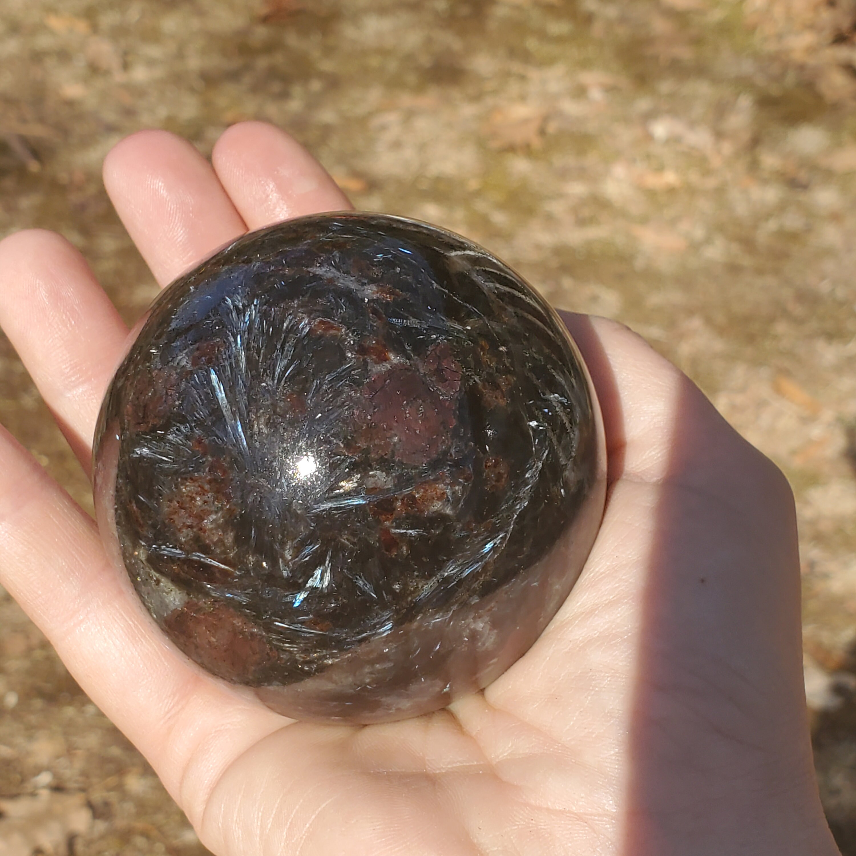 Arfvedsonite Firework with Sphere Etsy