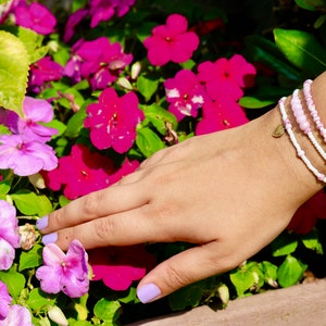 Himalayan Pink Set