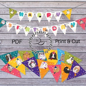 Banner de cumpleaños de conejillo de indias imprimible