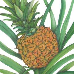 Watercolour prints / Tropical Vibes / Printables