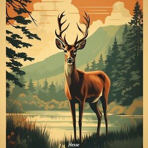 Deutschland, Wildpark Edersee | Poster | Wandkunst | Wohnkultur |