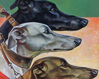 Kinds of Greyhounds Poster