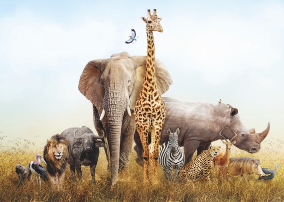 African Savanna Animals Poster - Etsy African Savanna Animals Poster - Etsy