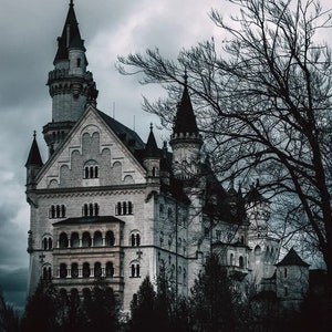 Dark Neuschwanstein | Poster | Wall Art | Home Decor |