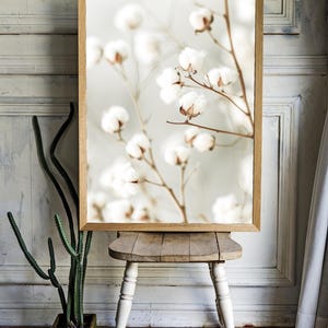 Póster Serenidad de la flor del algodón