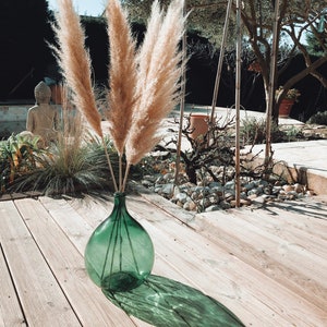 Puede incluir: Tres tallos de hierba de la pampa seca en un jarr&oacute;n de vidrio verde en una terraza de madera. El jarr&oacute;n es redondo y tiene una boca ancha.