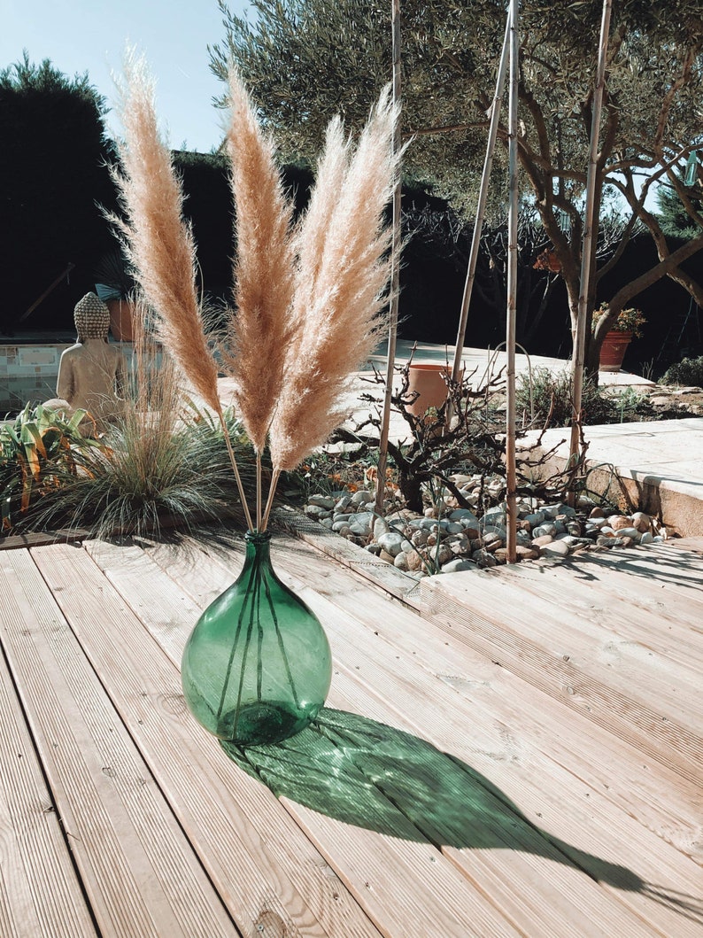 Puede incluir: Tres tallos de hierba de la pampa seca en un jarr&oacute;n de vidrio verde en una terraza de madera. El jarr&oacute;n es redondo y tiene una boca ancha.