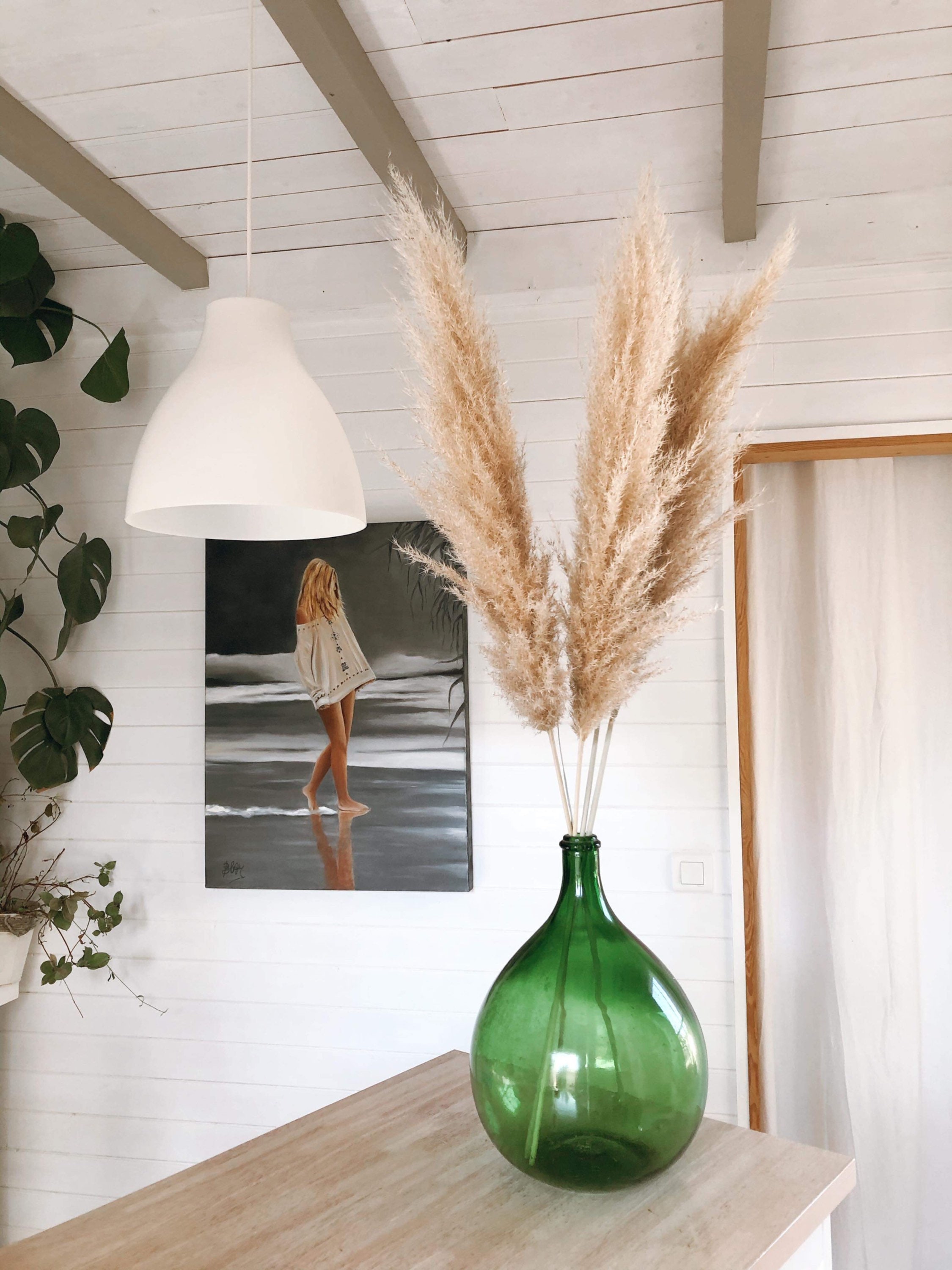 1 Pampa Séchée Naturelle