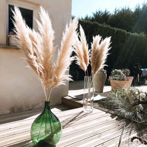 Puede incluir: Dos jarrones con hierba de la pampa seca, uno en una botella de vidrio verde y el otro en un cilindro de vidrio transparente. Los jarrones est&aacute;n en una terraza de madera con un edificio blanco y vegetaci&oacute;n verde en el fondo.