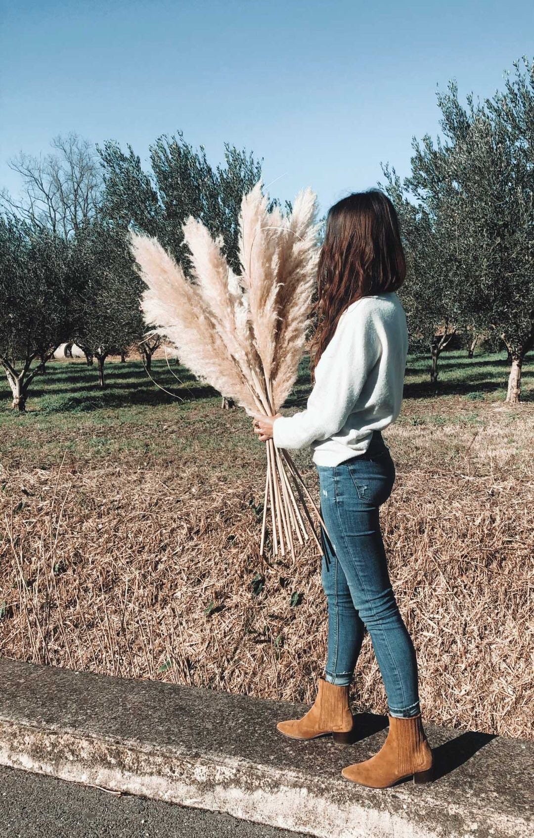 1 Pampa Fluffy Naturelle