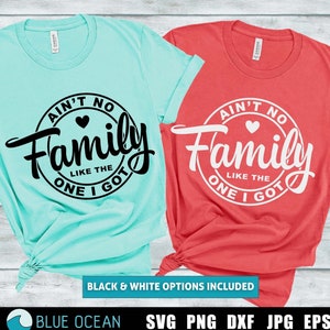 Não há família como a que eu tenho SVG, Reunião de família SVG, Camisa de família SVG, Férias em família svg