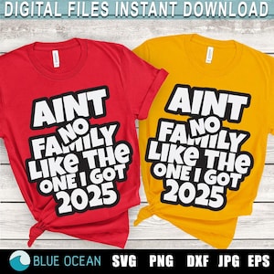 Não há família como a que eu tenho svg, Não há família 2025 PNG, Não há família 2025 SVG, Camisa de família 2025