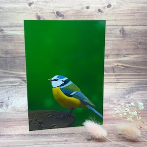 Bluetit blank greetings card, notecard for bird lovers, perfect for letter writing