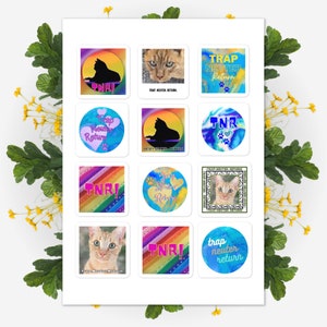 TNR Stickervel, Trap Neuter Release decoratieve stickers, Dierenreddingscadeau.