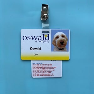 K&ouml;nnte beinhalten: Ein wei&szlig;-gelber Mitarbeiterausweis mit dem Text "oswald & company" und "Oswald, CEO". Der Ausweis zeigt ein Foto eines Hundes und ist an einem transparenten Kunststoffclip befestigt. Eine kleinere Karte mit hilfreichen Hinweisen ist angebracht.