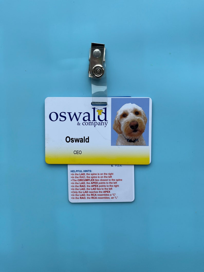 K&ouml;nnte beinhalten: Ein wei&szlig;-gelber Mitarbeiterausweis mit dem Text "oswald & company" und "Oswald, CEO". Der Ausweis zeigt ein Foto eines Hundes und ist an einem transparenten Kunststoffclip befestigt. Eine kleinere Karte mit hilfreichen Hinweisen ist angebracht.