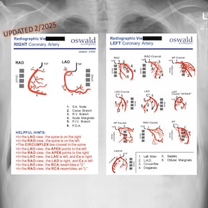 Cath Lab Radiographic Views: Coronary Artery badge buddy