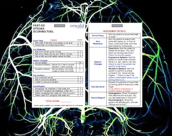 FAST-ED Stroke Badge Buddy, Paramedic, Nurse, Doctor, EMS, Scoring Tool, Neurovascular