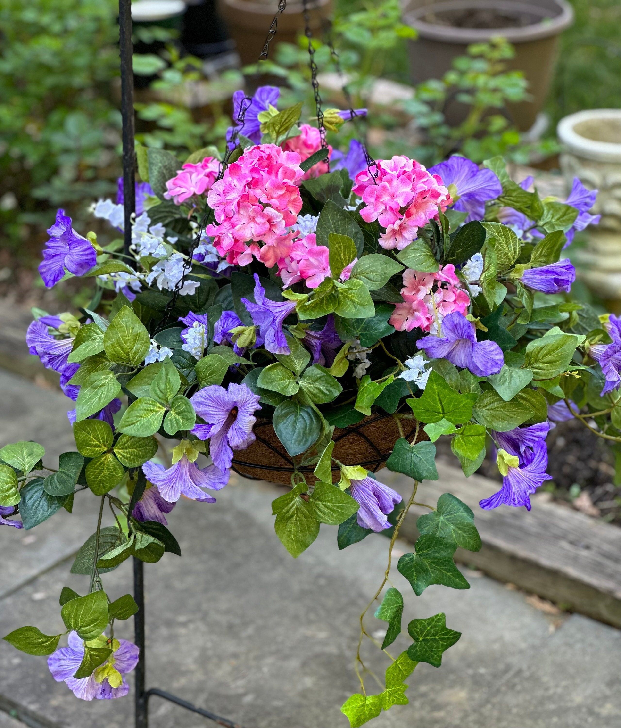 Image of Hanging basket filled with hydrangea plant with purple blooms