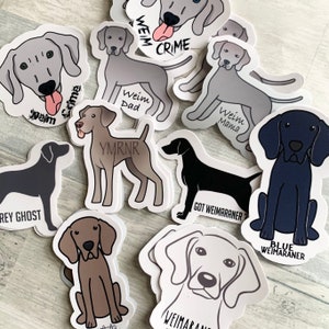 12 pk |  Weimaraner stickers / Weimaraner Gift/ Weimaraner Water bottle/ Grey Ghost/ Blue Weimaraner