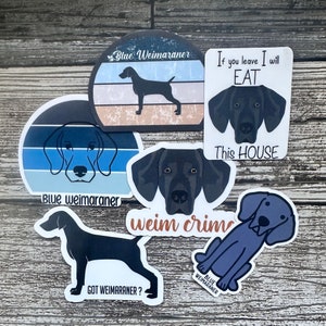 Weimaraner sticker Blue Weimaraner Funny Weimaraner gift Weimaraner Water bottle sticker Weim Crime sticker