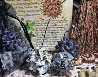 Loaded Witches Burrs with Mini Book of Shadows Page - Protection - Banish & Exorcism - Return to Sender