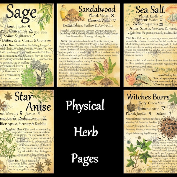 Physical Herb Pages - Sage - Sandalwood - Sea Salt - Star Anise- Witches Burrs