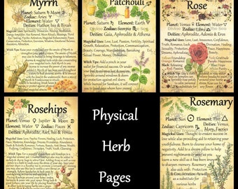 Physical Herb Pages - Myrrh - Patchouli - Rose - Rosehips - Rosemary