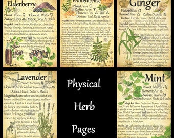 Physical Herb Pages - Elderberry - Frankincense - Ginger - Lavender - Mint