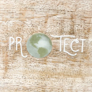 Pegatina de vinilo Clear Protect the Earth / Madre Tierra / Día de la Tierra / Impermeable, Apto para lavavajillas, Duradero / Pegatina de botella de agua