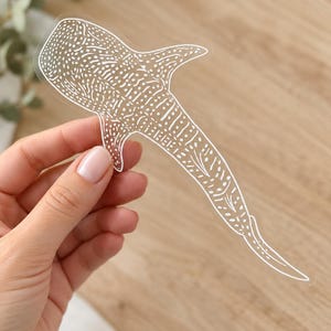 Genomskinlig valhaj 15 cm bildekal | Vinyldekal | Utrotningshotade arter | Havsdjur | Vattentät, diskmaskinssäker, hållbar