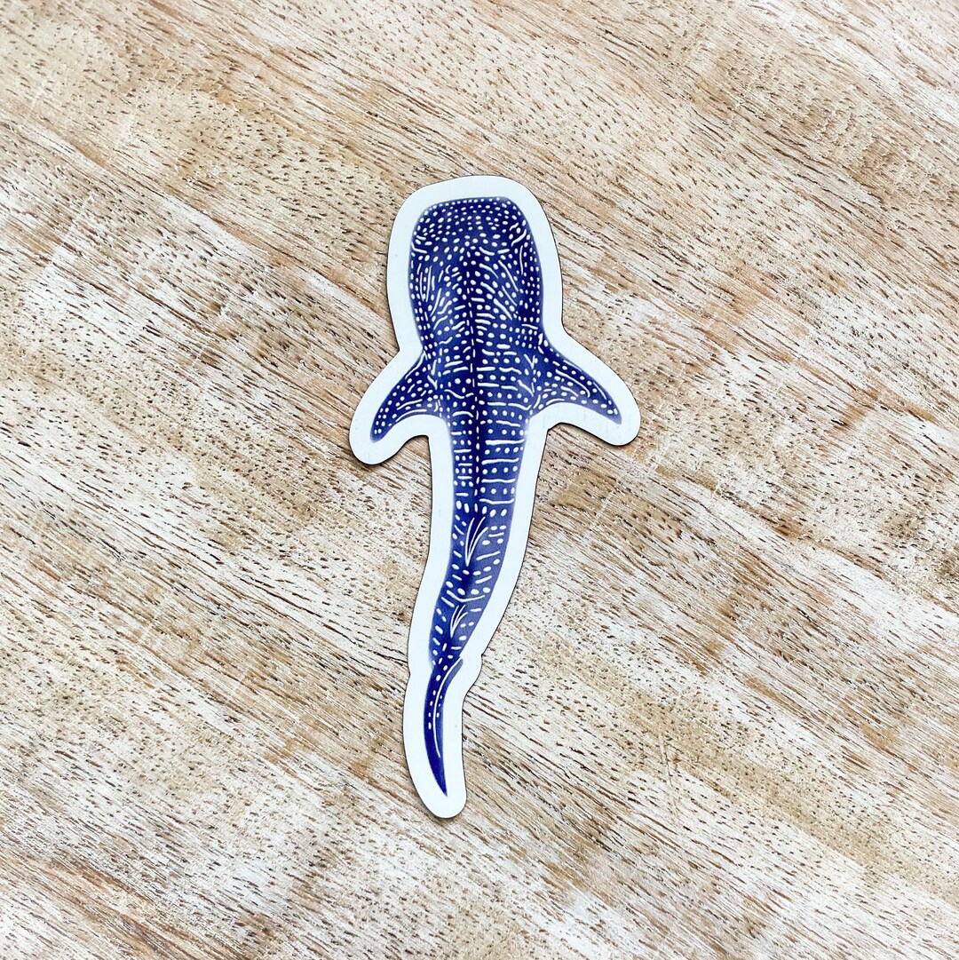 3 Whale Shark Endangered Species Ocean/sea Animal Fullback