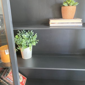 May include: Black wooden bookcase with three shelves. The top shelf has a stack of books and a small potted succulent plant with a brown and white patterned pot. The middle shelf has a small potted plant with green leaves and a white pot. The bottom shelf has a stack of books with red and white covers.