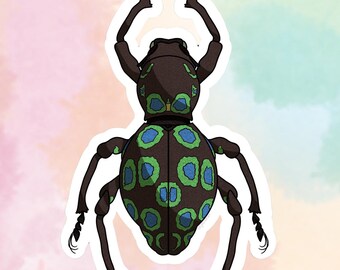 Rainbow Weevil Vinyl Sticker | Multiple Sizes Individual Sticker