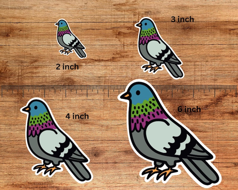Colorful Rock Pigeon Sticker | Vinyl Sticker | Hand-drawn, Waterproof ...