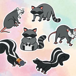 Trash Cats Sticker Pack: Hand-Drawn Raccoon, Opossum, Skunk - Waterproof Vinyl