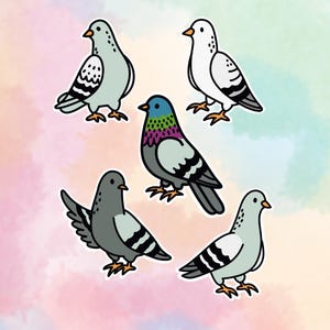 City Pigeons Sticker Set | Colorful & Gray Pigeons, Cute Bird Stickers, Flock of 5 | Kawaii Animal Decals, Journaling, Scrapbooking