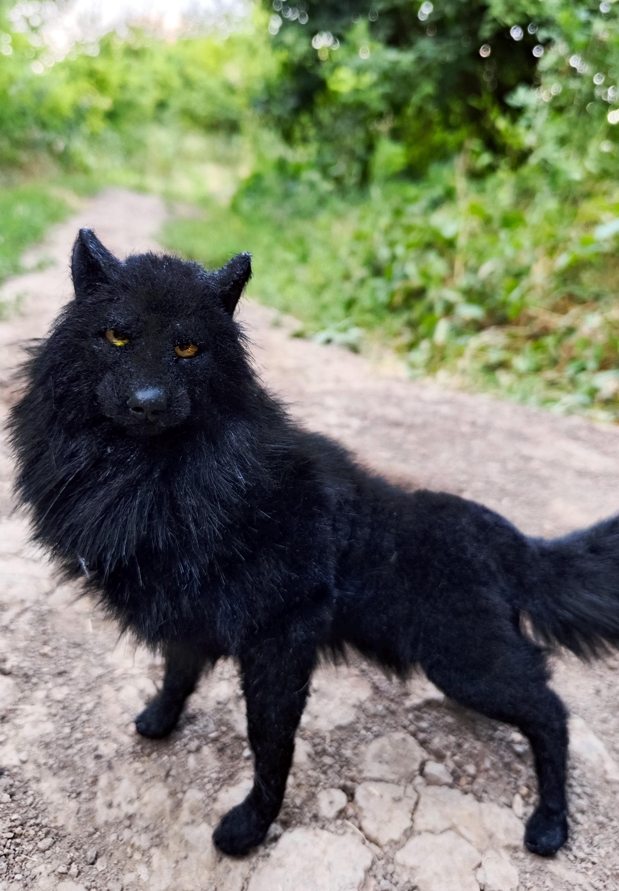 Black Wolf Stuffed Canada