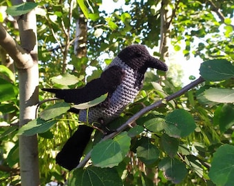 Crochet crow pdf, Crochet bird, Bird crochet pattern, Crow pattern, Crow gift, Crochet raven, Raven pattern,  black raven, Amigurumi bird