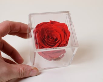 Forever rose in Acrylic Box, Geschenk zum Muttertag, Konservierte Rosen für Jubiläum, Hochzeit, Brautjungfern, Verlobung, Gefälligkeiten, Babyparty