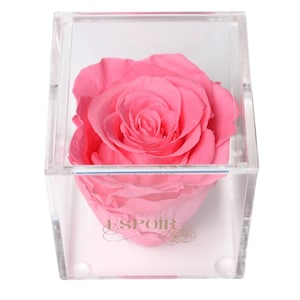 Forever rose in Acrylic Box | Mother&#39;s Day Gift | Preserved Roses for Anniversary | Wedding, Bridesmaids, Engagement, favors, baby shower