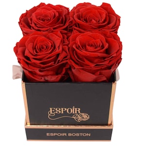 4 konservierte Rosen in schwarzer Box |  Muttertagsgeschenk | Für immer Rosen | Konservierte Blumen | Rosenbox | Wohndekor