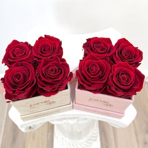 4 Preserved Roses in Suede Box|  Mother&#39;s Day Gift | Forever Roses | Preserved flowers | Home Decor | birthday gift | Engagement gift