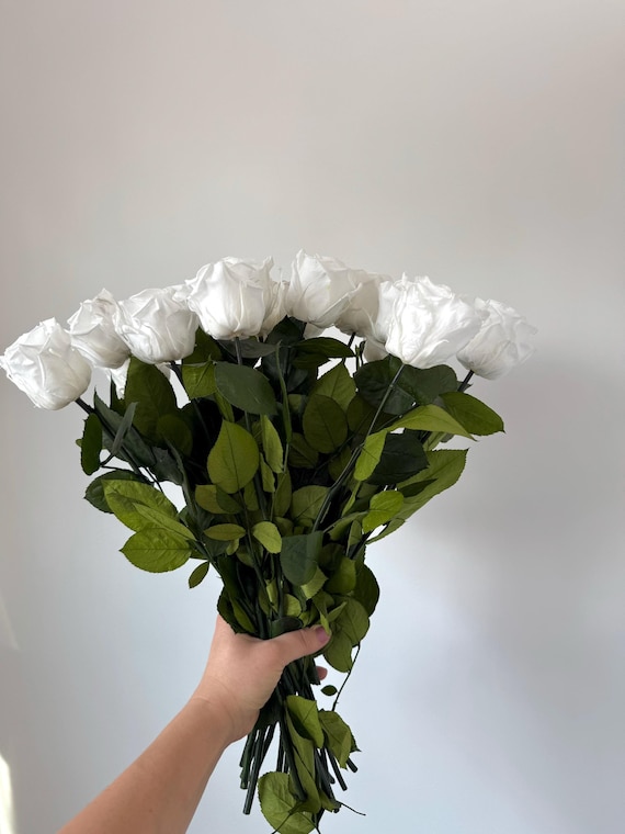 White Preserved Roses (16 Pack): Long Stemmed Forever Flowers
