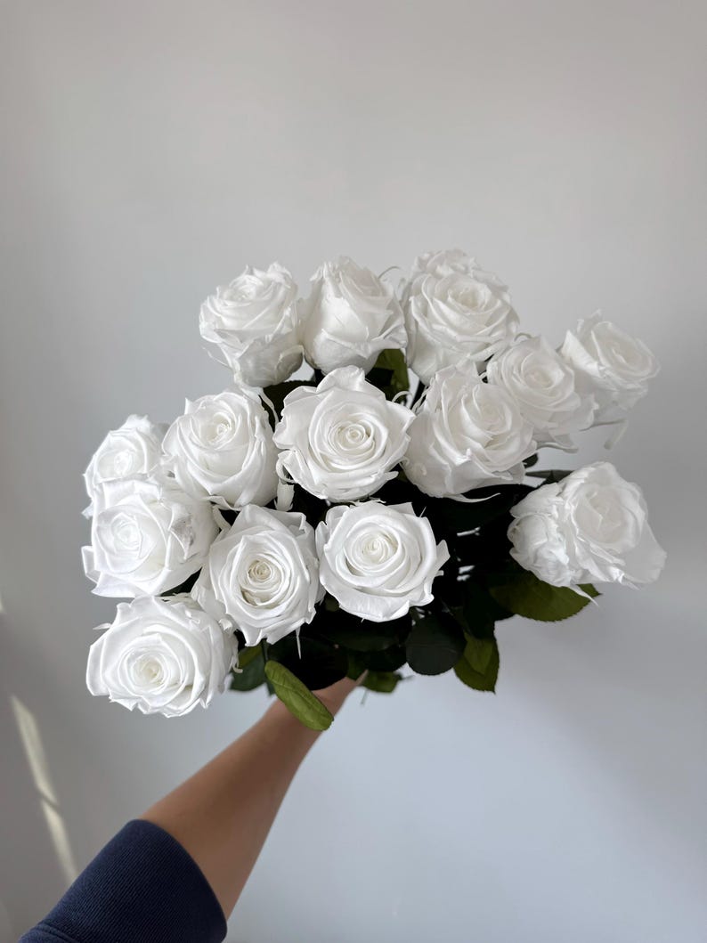 May include: A bouquet of white preserved roses, arranged in a hand-held bunch. The roses are a soft white color and have a velvety texture.