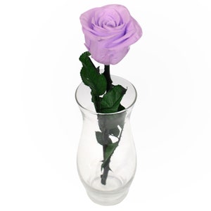 Langstielige Konservierte Rose |  Muttertagsgeschenk | Für immer Rosen | Konservierte Blumen,Rosen für Geburtstag,Hochzeit,Brautjungfern, Abschluss