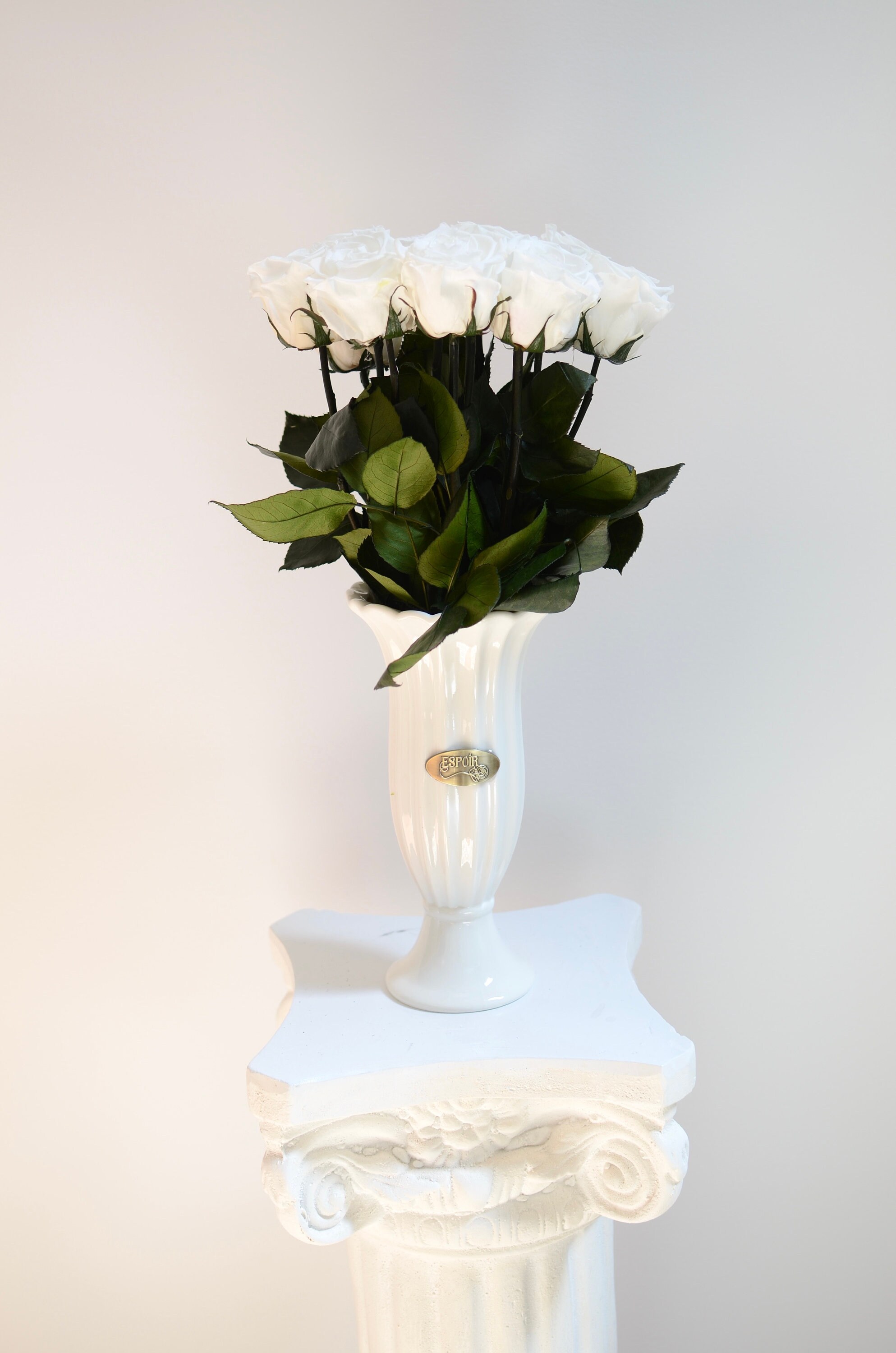 Aurora Vase - 12 WHITE Preserved Roses in Ceramic white vase |  Mother's Day Gift | Forever Roses | Preserved flowers | Home Décor